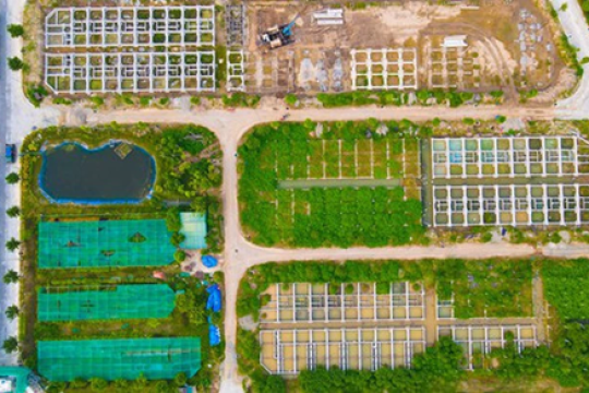 Điều gì khiến giới chuyên gia lạc quan dự báo thị trường bất động sản hồi phục vào năm 2023?