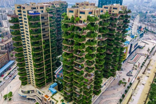 Chuyên gia JLL: “Ba năm tới sẽ là một “điểm uốn” đối với ngành bất động sản”